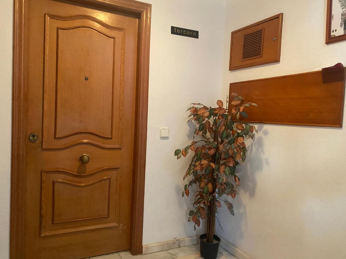 Homely Apartments Mar 3 تورّيفيِخا المظهر الخارجي الصورة